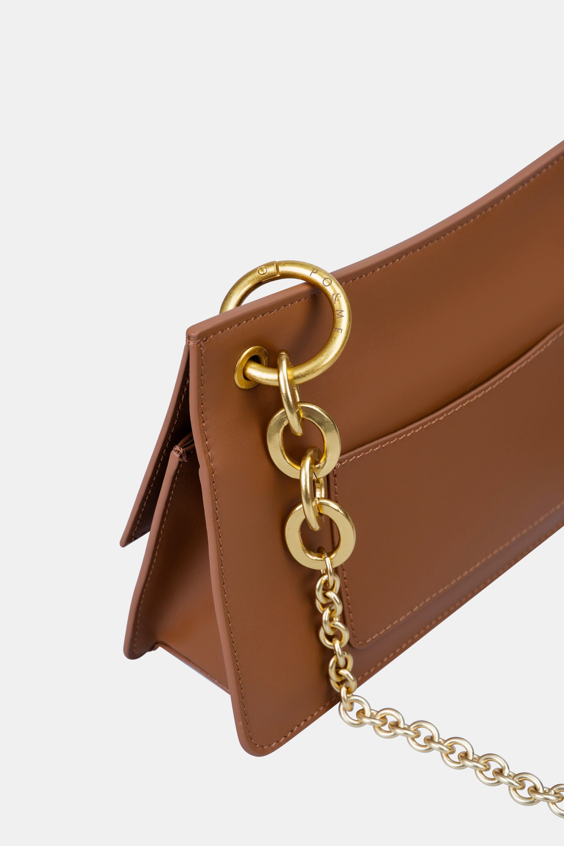 achaqueameeprise_camel