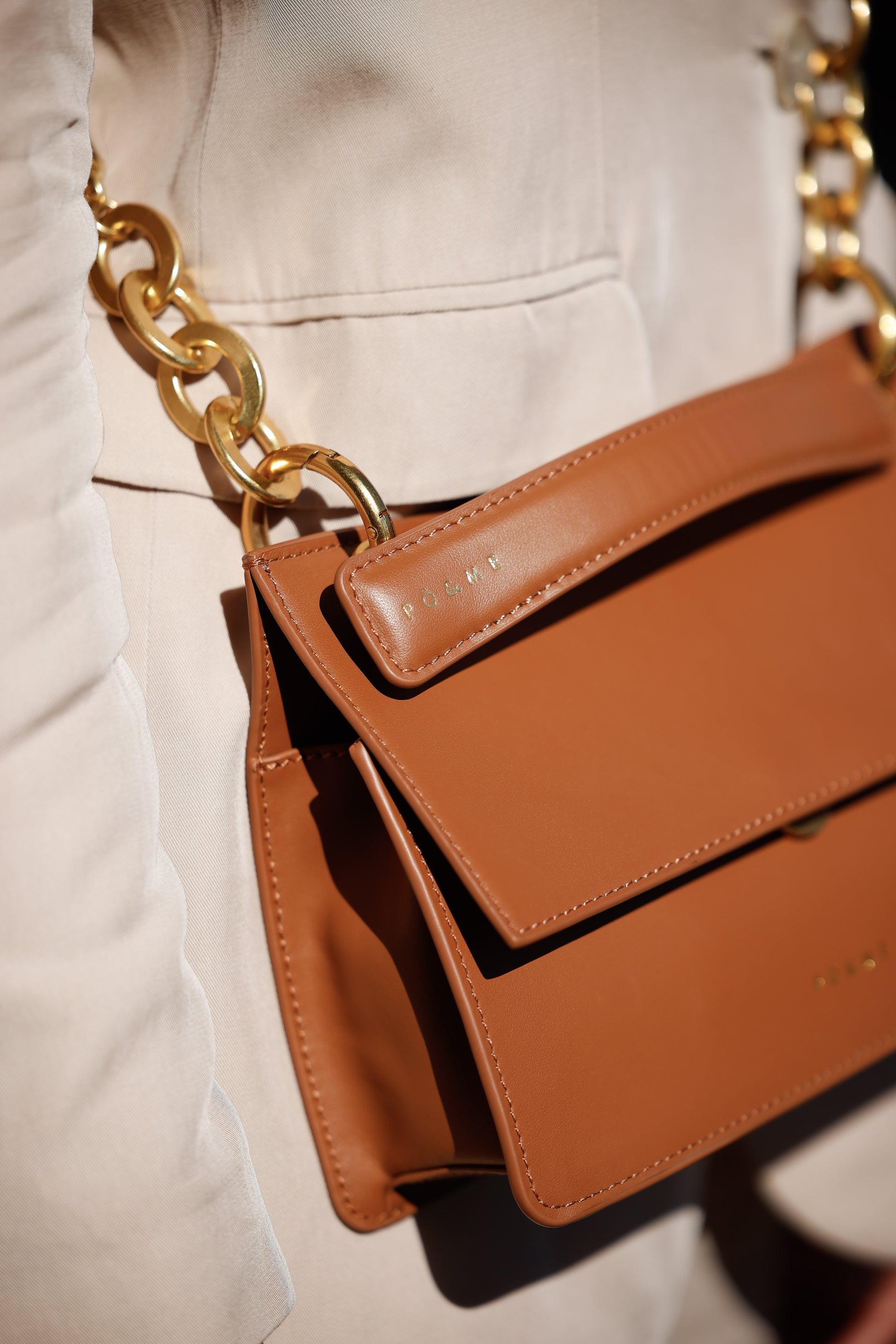 achaqueameeprise_camel