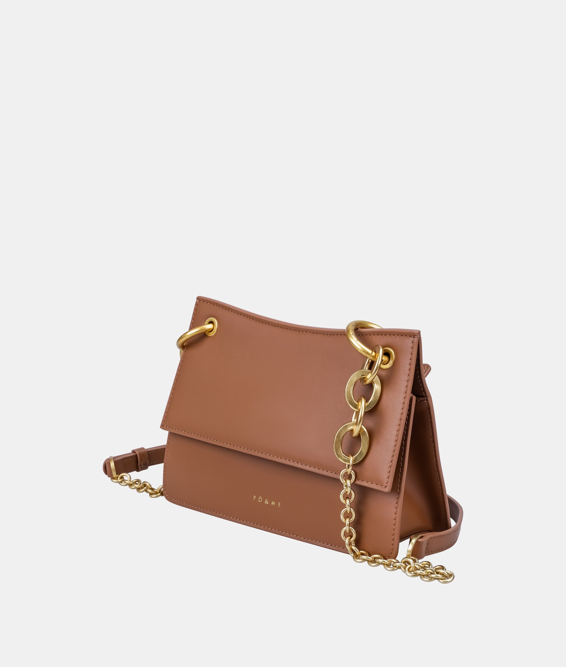 achaqueameeprise_camel