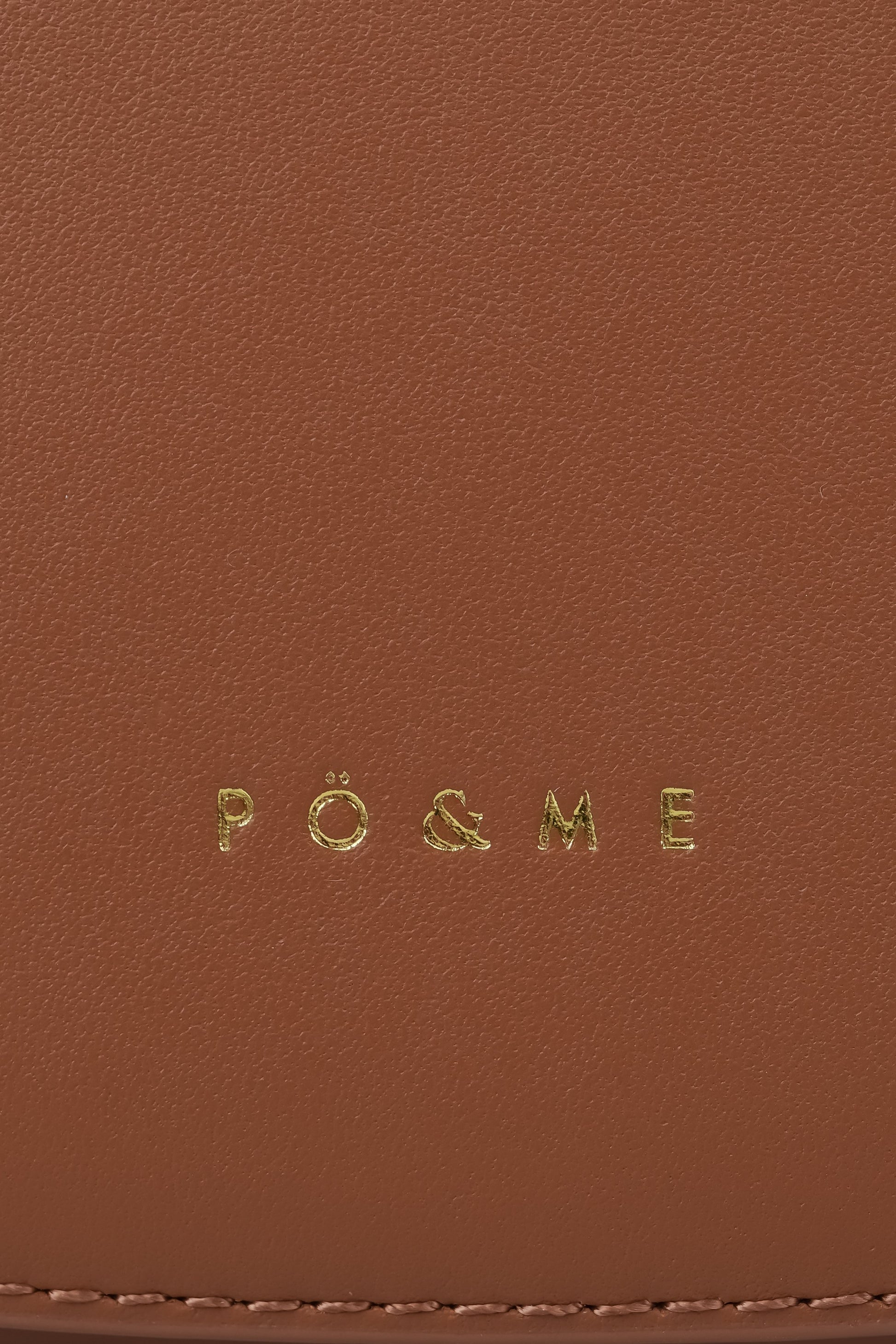 achaqueameeprise_camel