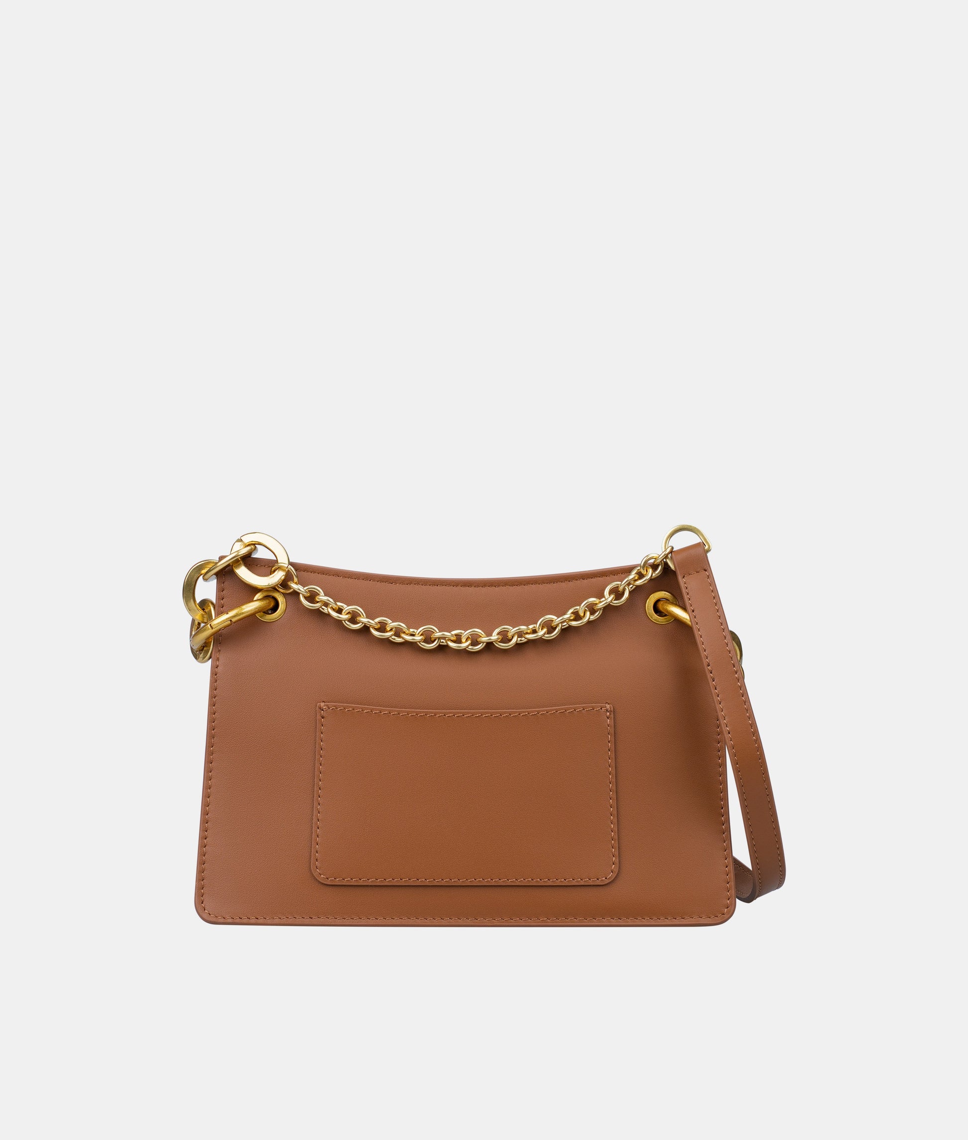 achaqueameeprise_camel