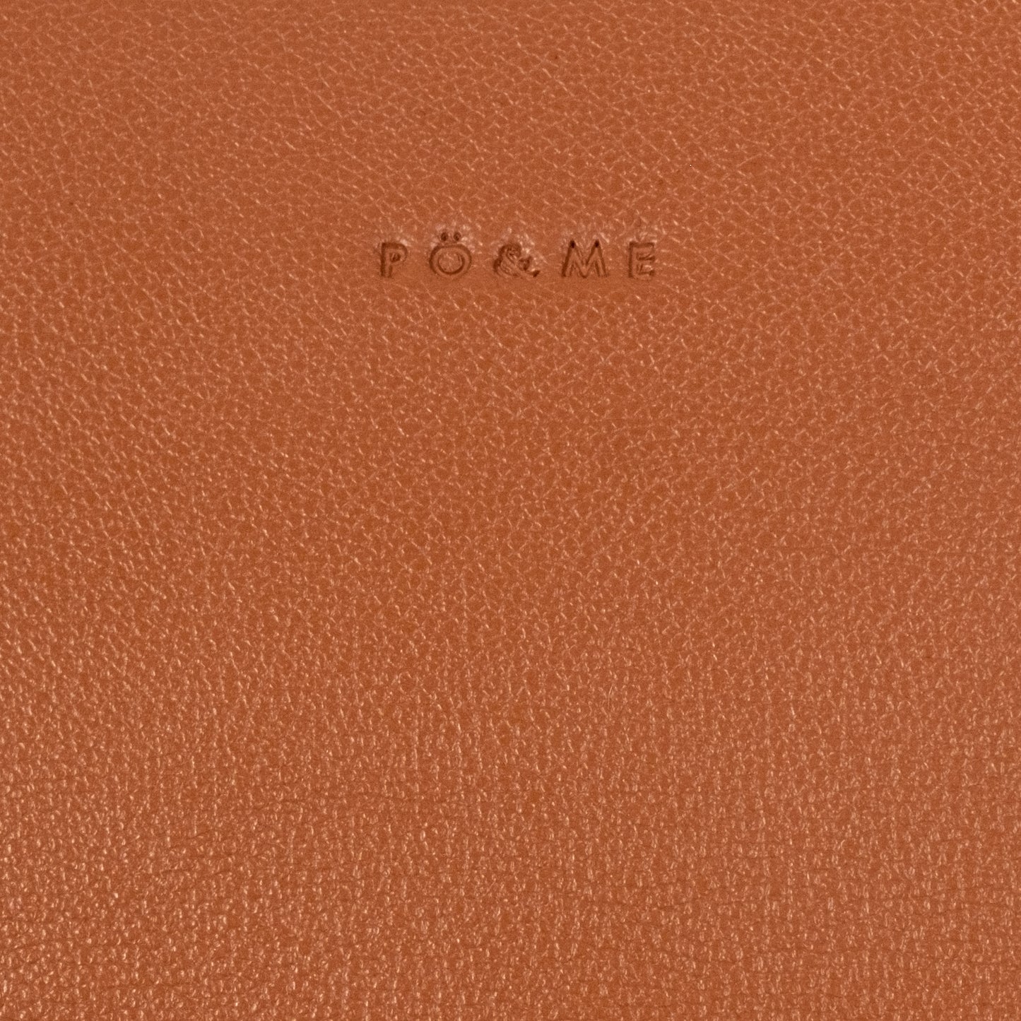 Songes_Innocents_camel