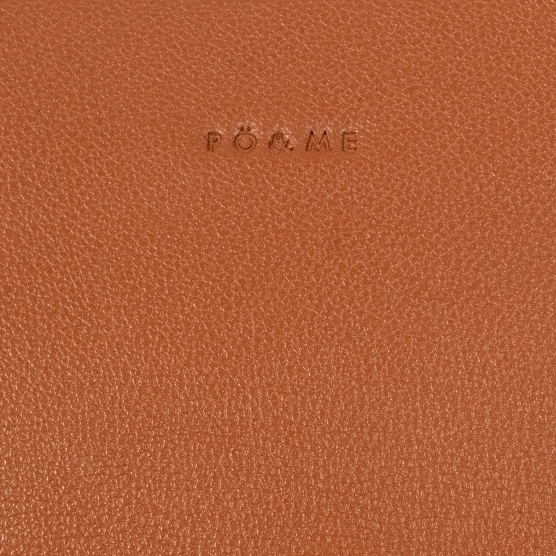 Songes_Innocents_camel