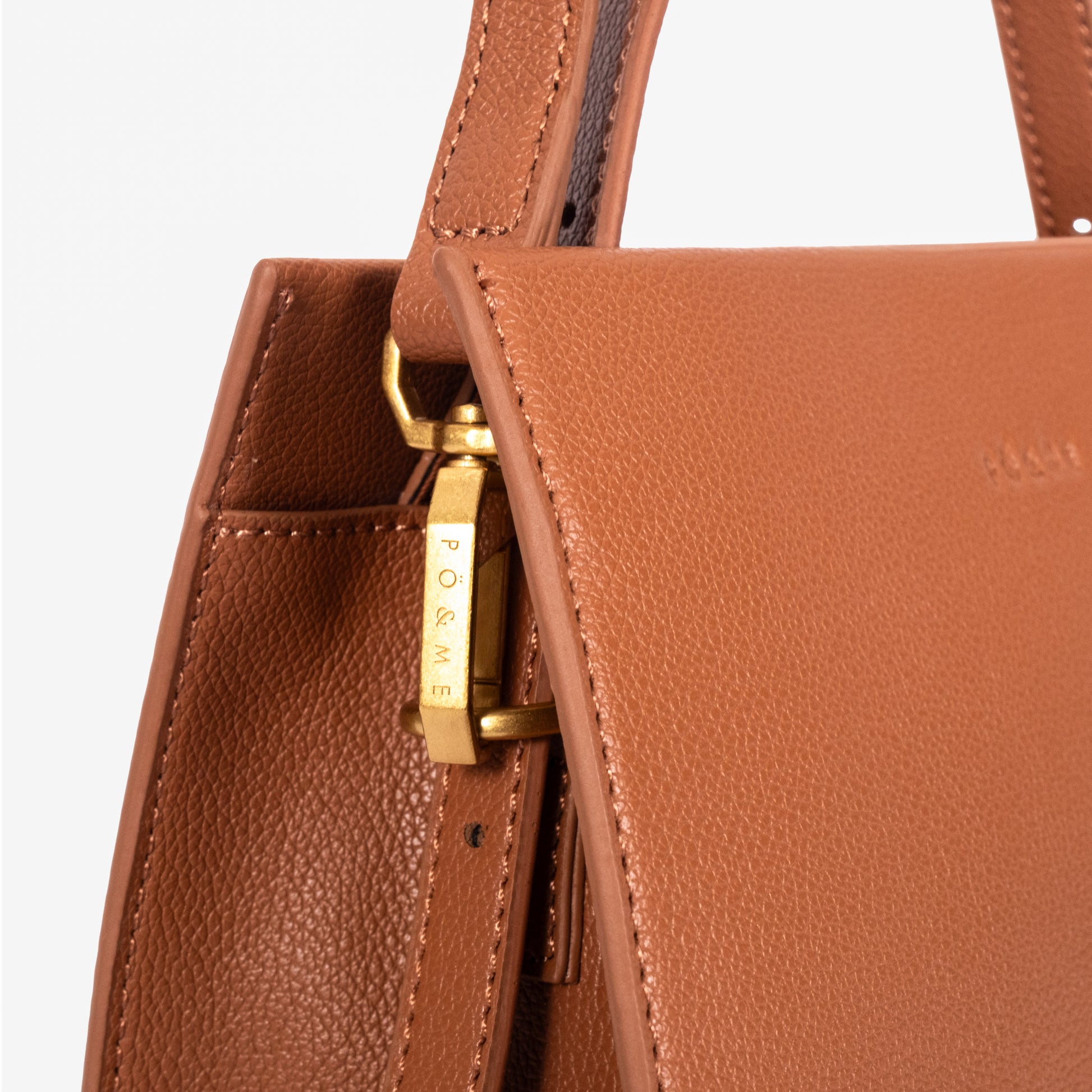 Songes_Innocents_camel