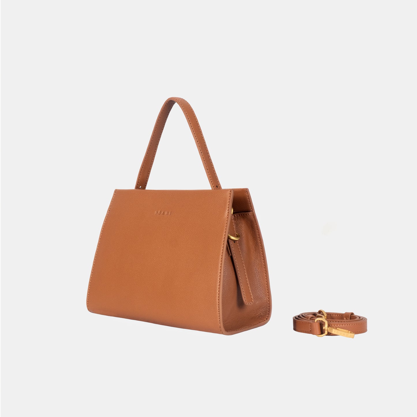 Songes_Innocents_camel